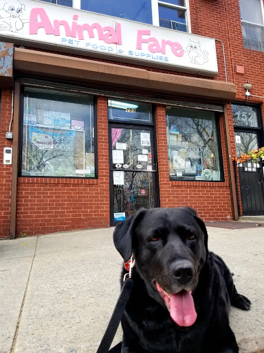 Pet Supply Store «Animal Fare», reviews and photos, 153 Prospect Park Southwest, Brooklyn, NY 11218, USA