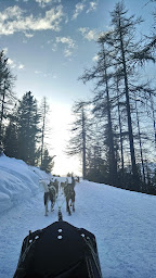 Photo n°6 de Montgenèvre Chiens de Traineaux Jordi à Montgenèvre ()
