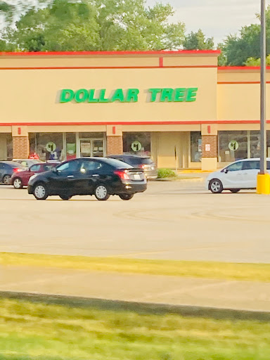 Dollar Store «Dollar Tree», reviews and photos, 325 E Northwest Hwy, Palatine, IL 60067, USA