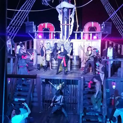 Pirate Show Jolly Roger