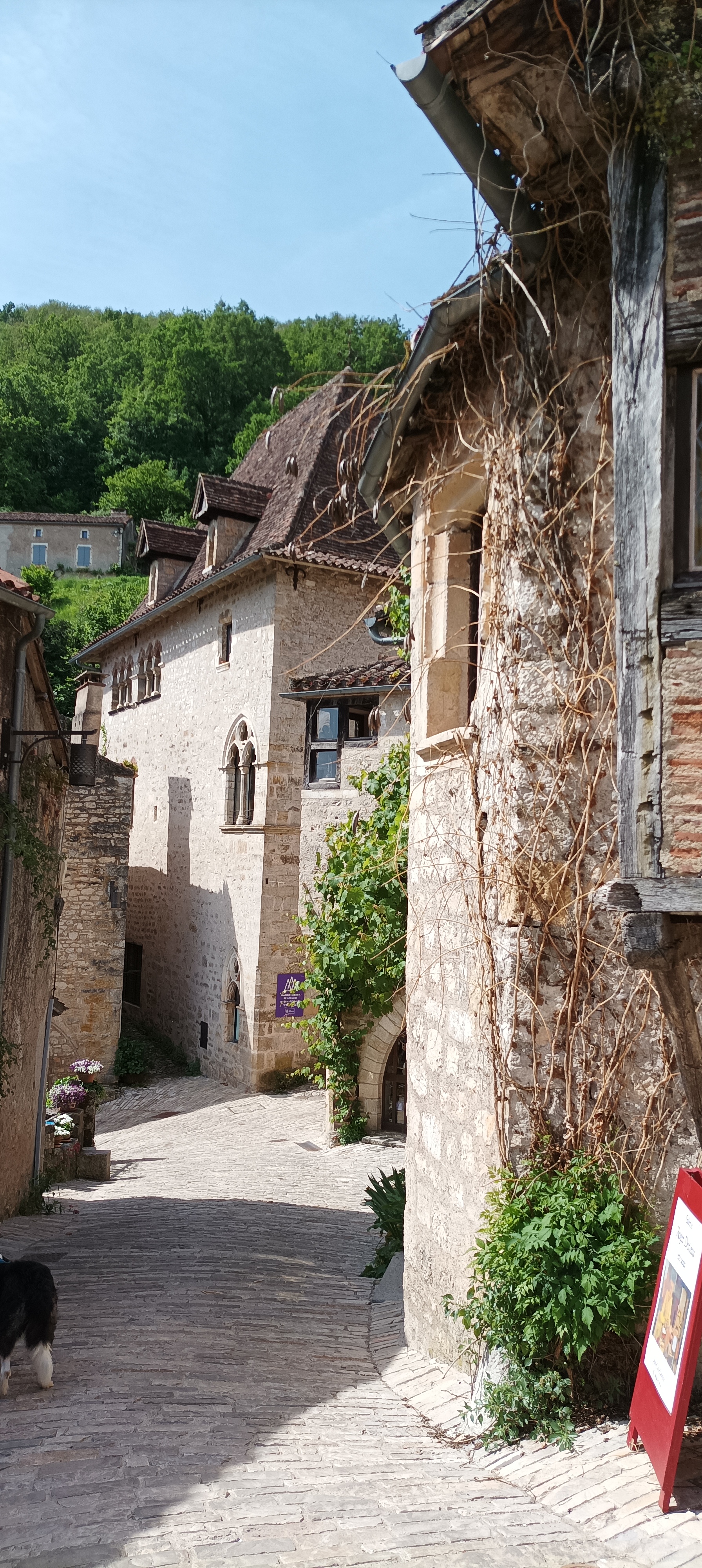 Photo n° 13 de l'avis de christian.e fait le 15/05/2022 à 14:27