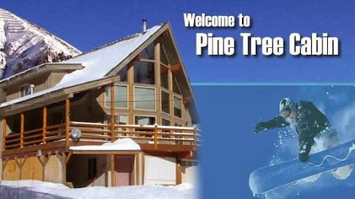 Pine Tree Cabin Rentals-VRBO 73120