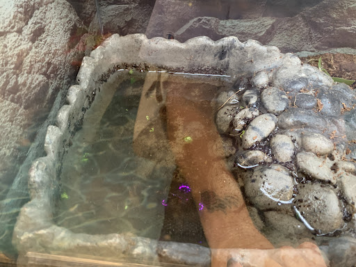 Pet Supply Store «Petco Animal Supplies», reviews and photos, 308 E Meighan Blvd, Gadsden, AL 35903, USA