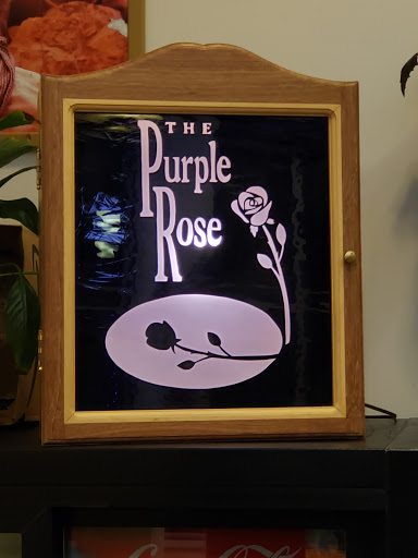 Performing Arts Theater «Purple Rose Theatre Company», reviews and photos, 137 Park St, Chelsea, MI 48118, USA