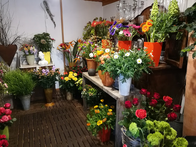 Rezensionen über Blumen Müller in Olten - Blumengeschäft