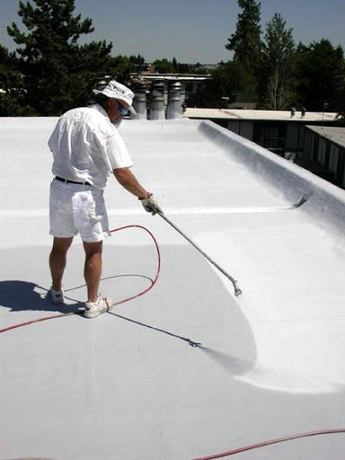 Ace Roof Coating