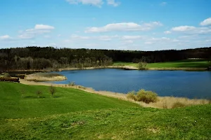 Vogelfreistätte Egglburger Lake image