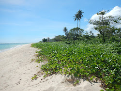Photo de Lotofago Beach avec rivage droit, long