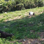 Photo n°3 de l'avis de Enrico.i fait le 19/08/2023 à 18:11 sur le  Parco della Rocca Borromea à Arona