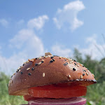 Photo n°3 de l'avis de AFJ.� fait le 03/08/2017 à 12:59 sur le  Givtbude Langeoog à Langeoog