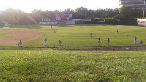 Stadium «Yogi Berra Stadium», reviews and photos, 27 Clove Rd, Little Falls, NJ 07424, USA
