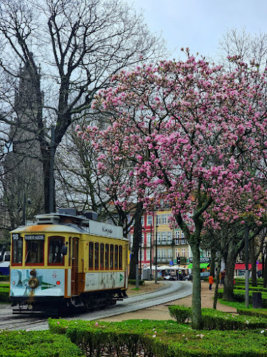 https://pt.wikipedia.org/wiki/Jardim_de_Jo%C3%A3o_Chagas