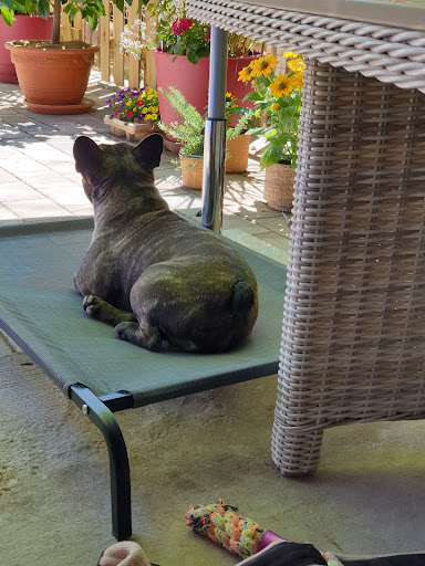 Karnivor-Shop oHG unter Korntal-Münchingen, 