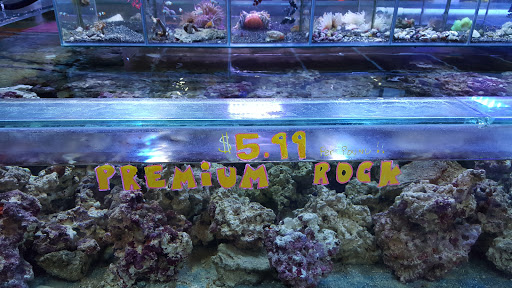 Aquarium Shop «Exotic Aquariums», reviews and photos, 7399 Bird Rd, Miami, FL 33155, USA