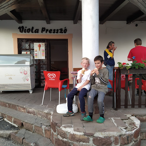 Comentarii opinii despre Viola Presszó