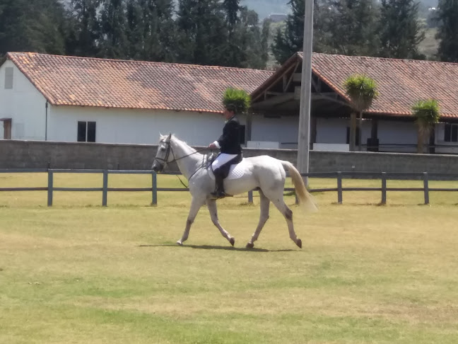 Comentarios y opiniones de Asociación Holstein Friesian del Ecuador