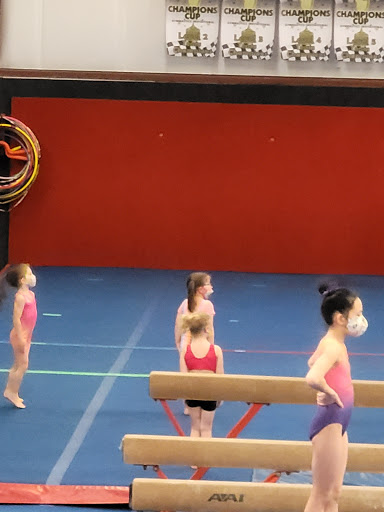 Gymnastics Center «Westside Gymnastics Inc», reviews and photos, 2478 N Raceway Rd, Indianapolis, IN 46234, USA