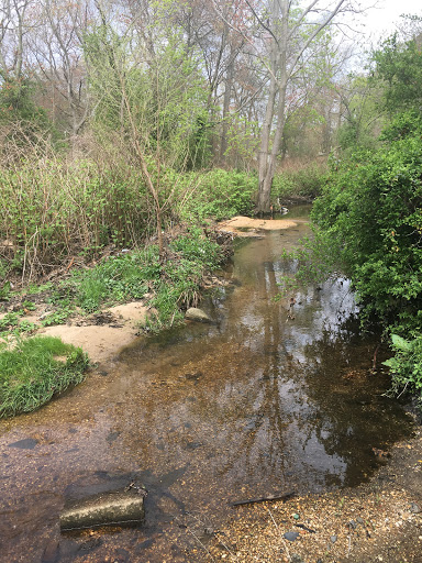 Nature Preserve «Brookside Preserve», reviews and photos, N Brookside Ave, Roosevelt, NY 11575, USA