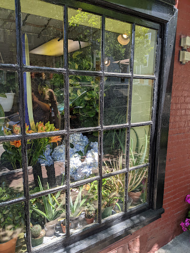 Florist «City Gardens Flower Shop», reviews and photos, 284 Wickenden St, Providence, RI 02903, USA