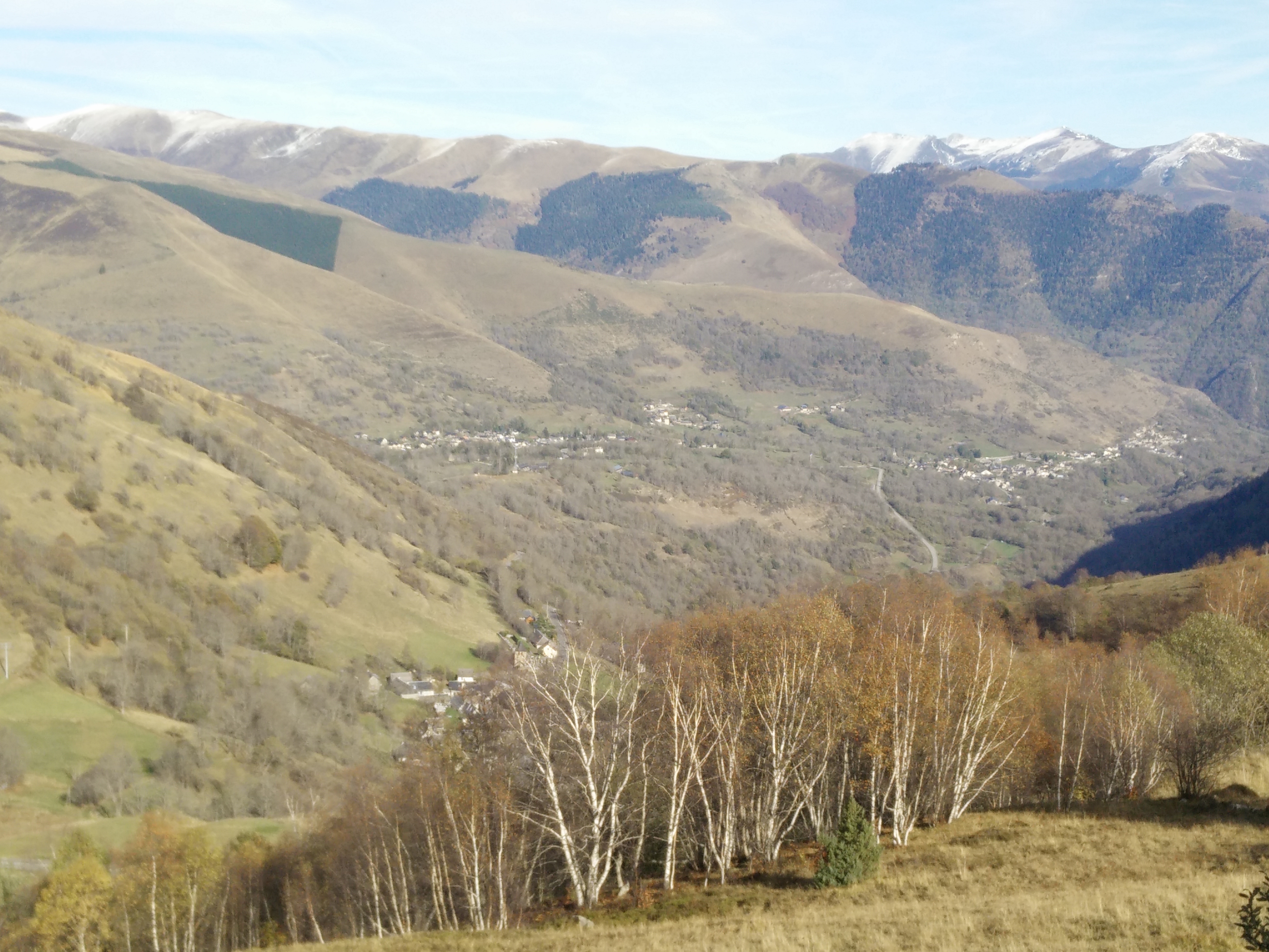 Photo n° 2 de l'avis de LOUIT.O fait le 07/11/2022 à 15:39