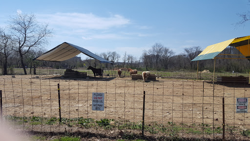 Museum «Queens County Farm Museum», reviews and photos, 73-50 Little Neck Pkwy, Queens, NY 11004, USA