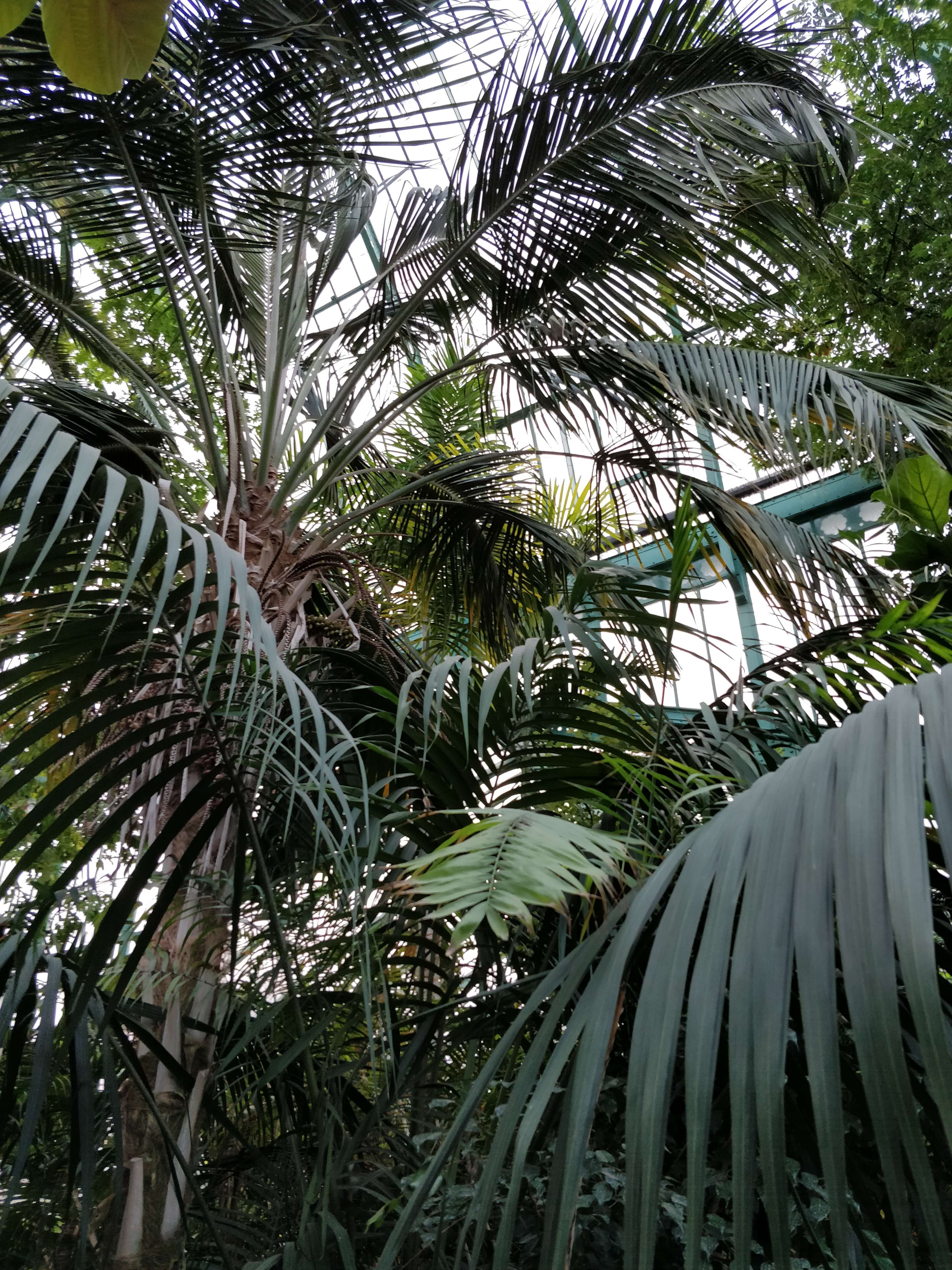 Photo n° 3 de l'avis de Nicolas.e fait le 06/12/2018 à 11:06