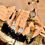 Photo n°2 de l'avis de Alice.a fait le 17/02/2023 à 18:54 sur le  Casa Delle Sementi à Reggio Emilia