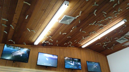 Recreation «Dolphins Plus Oceanside», reviews and photos, 31 Corinne Pl, Key Largo, FL 33037, USA