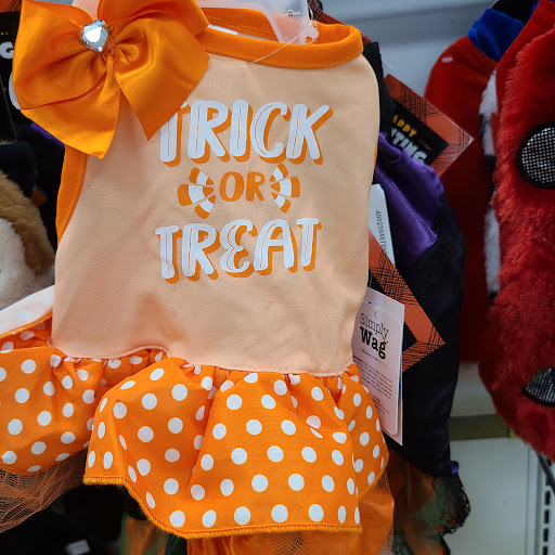 Clothing Store «Ross Dress for Less», reviews and photos, 3022 Little Rd, Trinity, FL 34655, USA