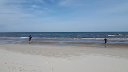 Zdjęcie Kollerup Beach z poziomem czystości wysoki