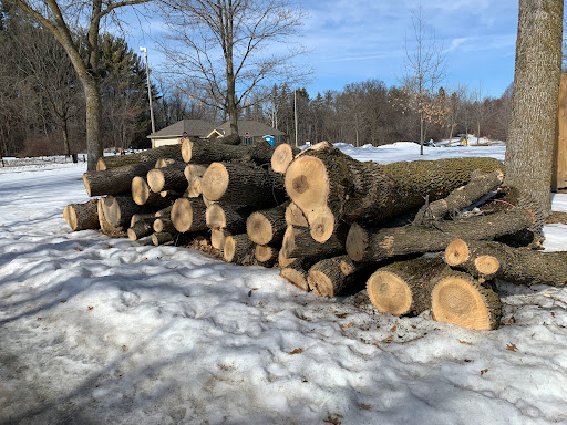 Park «Baker Park Reserve», reviews and photos, 2309 Baker Park Rd, Maple Plain, MN 55359, USA