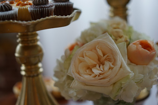 Art Gallery «The Aurora Gallery», reviews and photos, 3518 37th St, Long Island City, NY 11101, USA