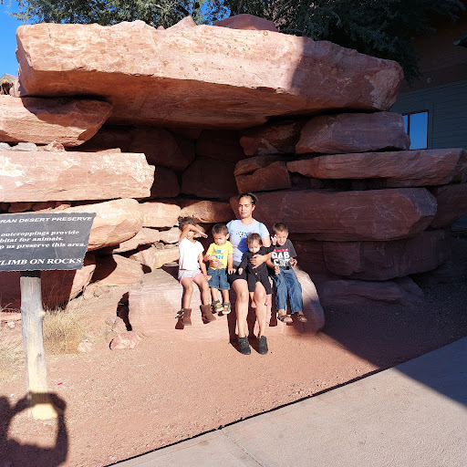 Sporting Goods Store «Bass Pro Shops», reviews and photos, 1133 N Dobson Rd, Mesa, AZ 85201, USA