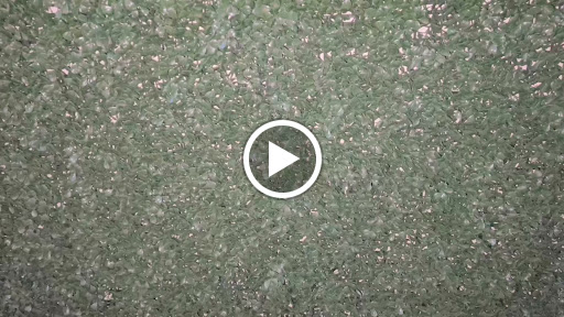 Caterer «Kismet Caterers», reviews and photos, 1995 Westchester Ave, Bronx, NY 10462, USA