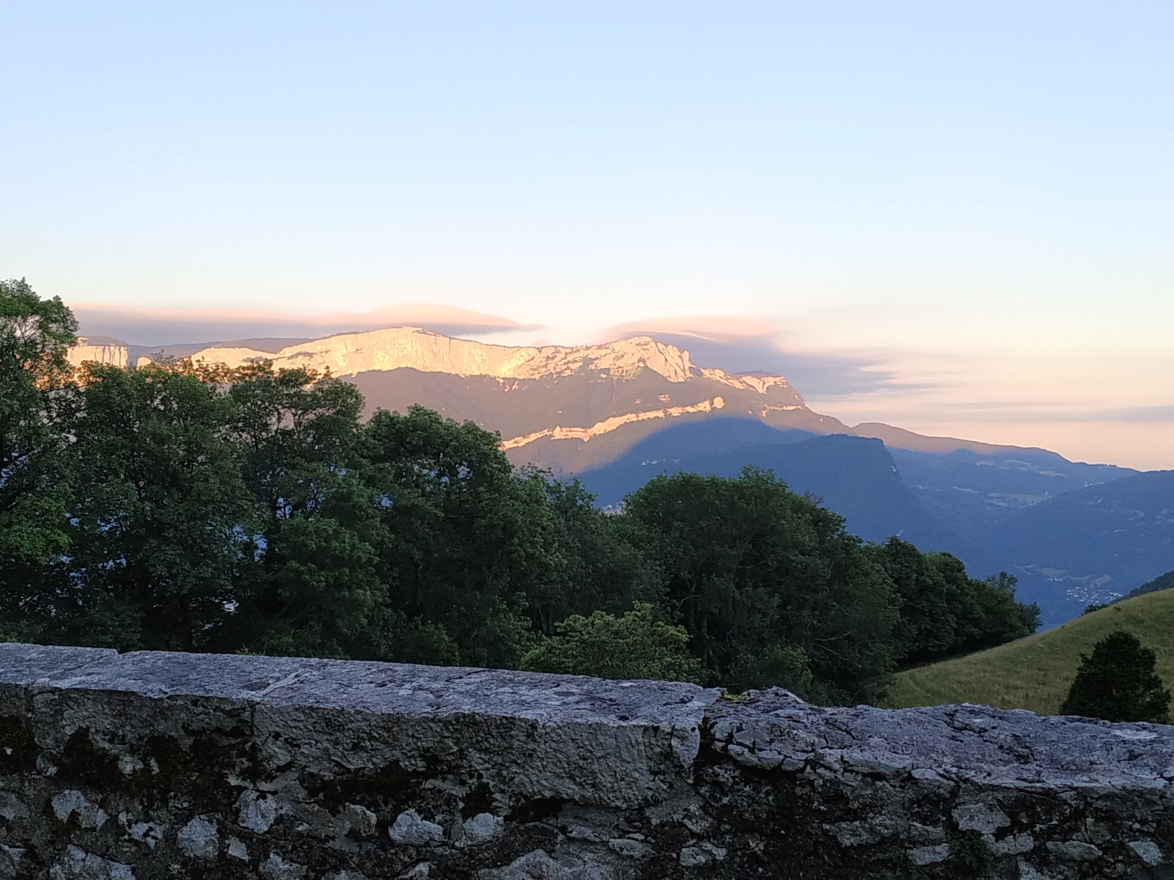 Photo n° 1 de l'avis de flogil.A fait le 15/07/2020 à 07:40