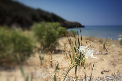 Photos of &Pi;&alpha;&rho;&alpha;&lambda;ί&alpha; &Gamma;&upsilon;&mu;&nu;&iota;&sigma;&tau;ώ&nu; - &Kappa;&alpha;&lambda;ό&gamma;&rho;&iota;&alpha;