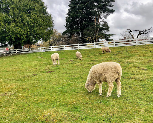 Party farmhouses Seattle