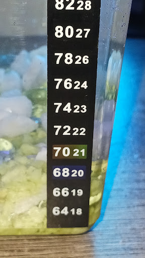 Pet Supply Store «Petco Animal Supplies», reviews and photos, 188 Kitts Ln, Newington, CT 06111, USA