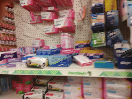 Dollar Store «Dollar Tree», reviews and photos, 13932 Manchester Rd, Ballwin, MO 63011, USA