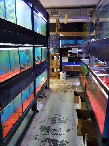 Pet Store «Pet Land», reviews and photos, 1450 Fort Campbell Blvd, Clarksville, TN 37042, USA