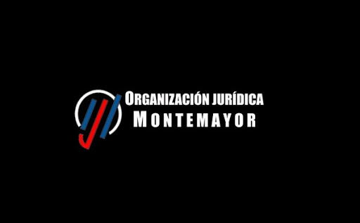 ORGANIZACION JURIDICA MONTEMAYOR