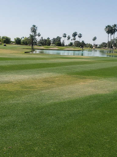 Golf Course «Alta Mesa Golf Club», reviews and photos, 1460 N Alta Mesa Dr, Mesa, AZ 85205, USA