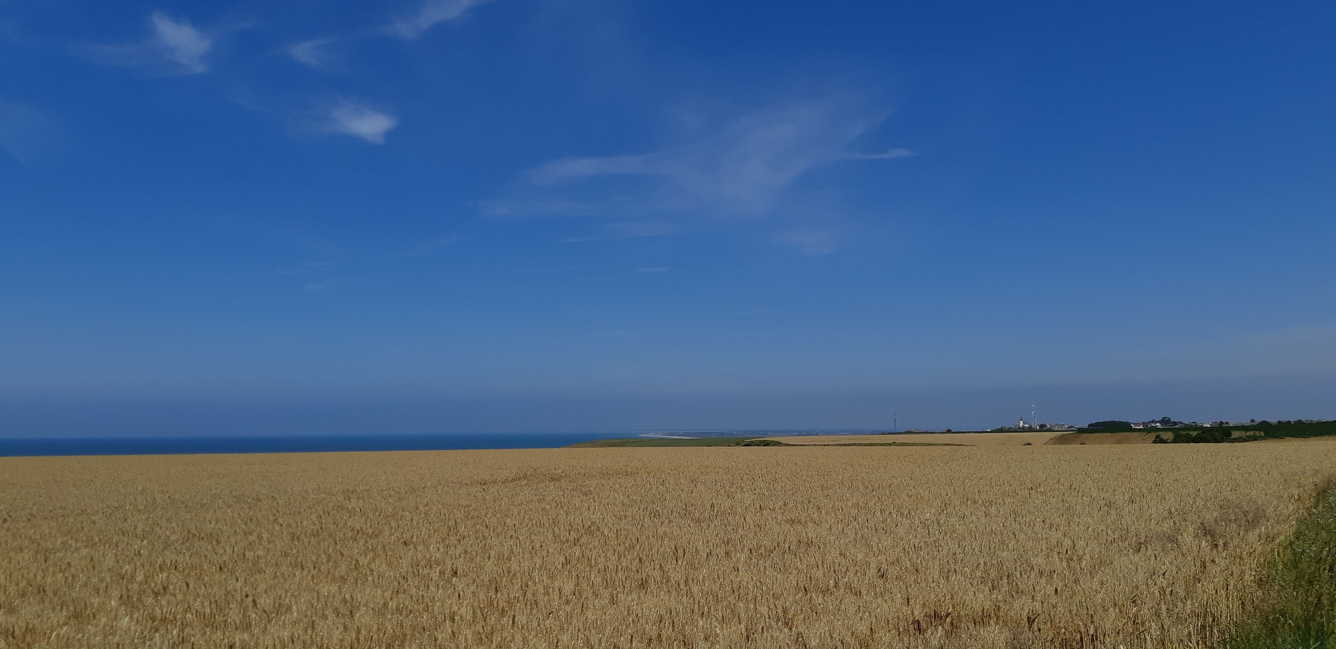 Photo n° 10 de l'avis de Philippe. fait le 17/07/2019 à 10:33