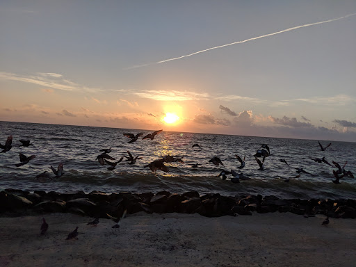Amphitheater «Cole Park Amphitheater», reviews and photos, 1526 Ocean Dr, Corpus Christi, TX 78404, USA