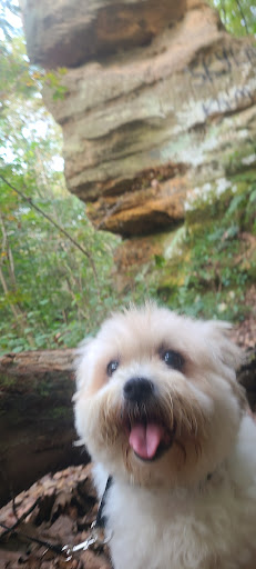 Nature Preserve «Jug Rock Nature Preserve», reviews and photos, Albright Ln, Shoals, IN 47581, USA