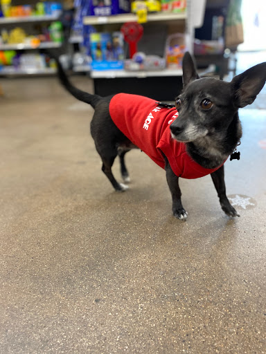 Hardware Store «Pinnacle Peak Ace Hardware», reviews and photos, 23623 N Scottsdale Rd, Scottsdale, AZ 85255, USA