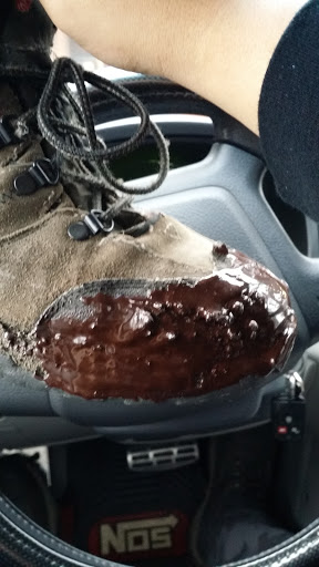 Sporting Goods Store «Tall Pines Country Store», reviews and photos, 796 Kessler Rd, Millersburg, PA 17061, USA