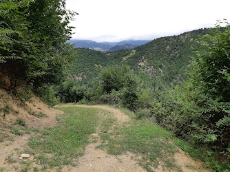 Çoruh Kültür Eğitim Vakfı Şavşat