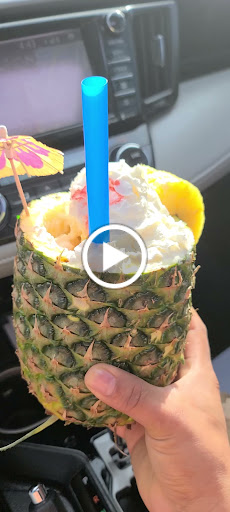 Pet Supply Store «Your Pet Experts», reviews and photos, 1665 State Hill Rd #490, Wyomissing, PA 19610, USA