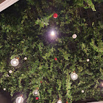 Photo n°2 de l'avis de Miguelina.M. fait le 14/01/2022 à 23:58 sur le  Gemma Pizzeria - Verona Borgo Trento à Verona